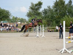 DSC_9471_web